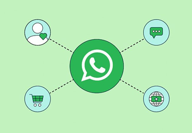How to Use WhatsApp for Business Growth & Sales