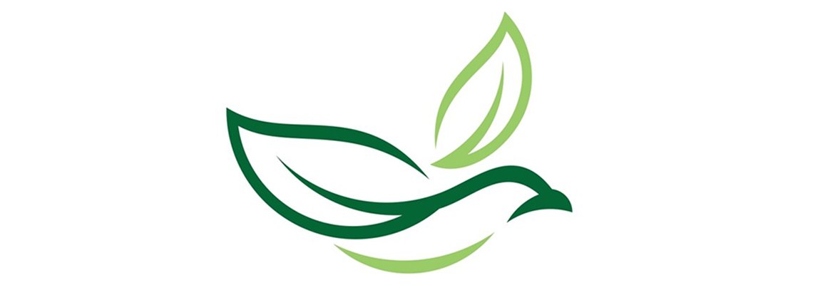 How a Powerful Logo Can Transform Your Brand’s Success