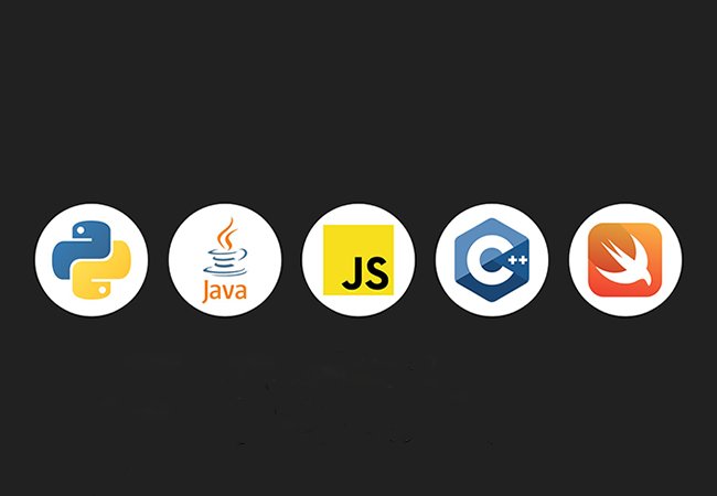 Top Programming Languages to Learn in 2025