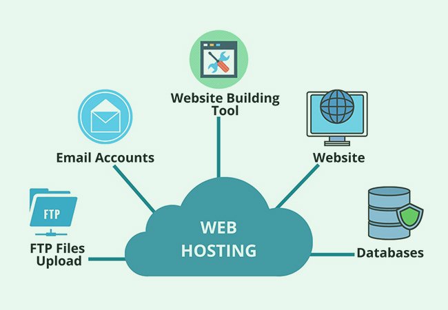 Everything You Need to Know About Website Hosting