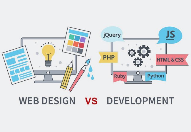 Web Design vs. Web Development: Which One Do You Really Need?